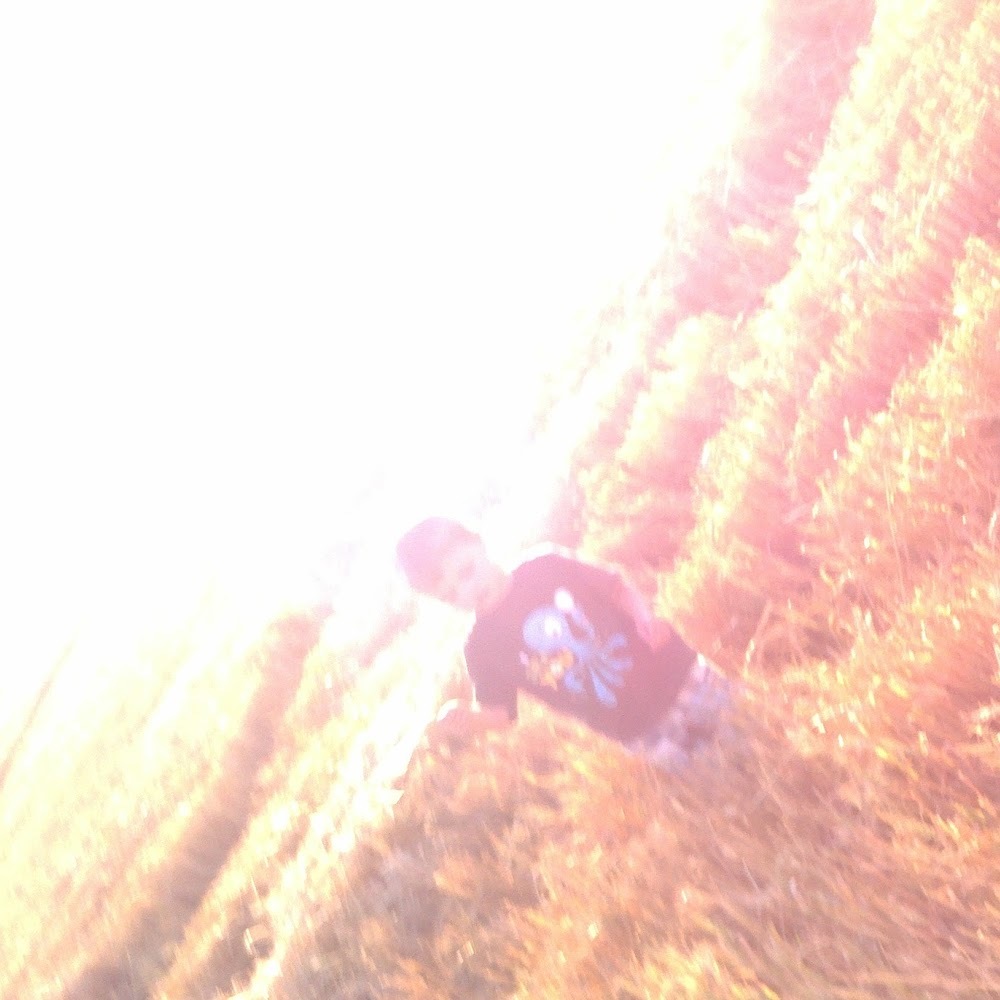 Meet your Posher, Shawnee